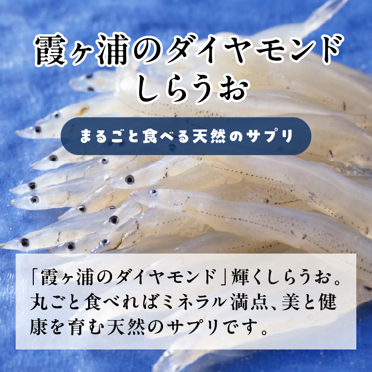 【2026年2月上旬より順次発送】カルシウム しらうおせんべい 3個｜せんべい 煎餅 おやつ しらうお カルシウム タンパク質 ミネラル 煮干し 茨城県 行方市(CU-342)