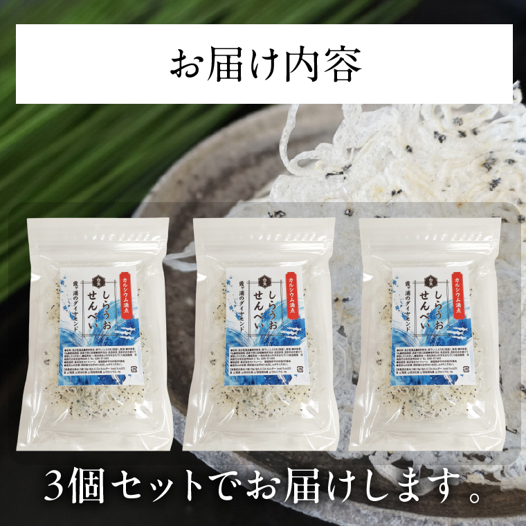 【2026年2月上旬より順次発送】カルシウム しらうおせんべい 3個｜せんべい 煎餅 おやつ しらうお カルシウム タンパク質 ミネラル 煮干し 茨城県 行方市(CU-342)
