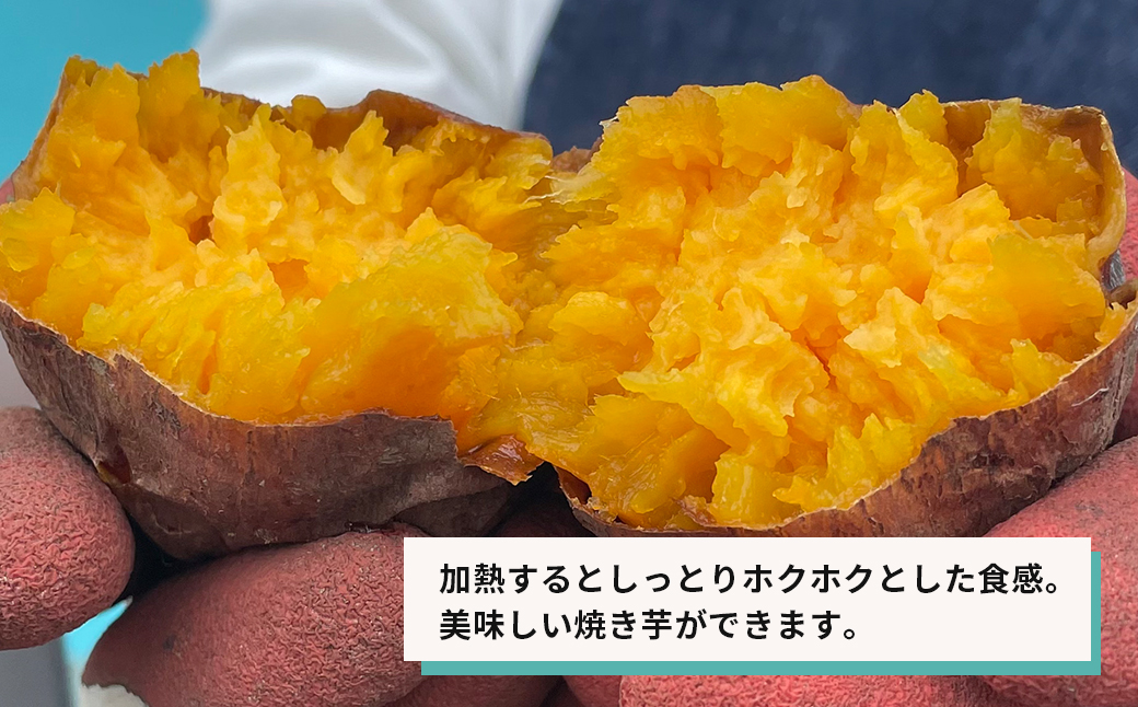 【産地直送】紅はるか（淡路島産）土付き　約5kg　不揃い【栽培期間中、農薬・化学肥料不使用】 さつまいも