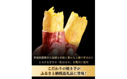 鹿島焼芋 純1.5kg＆焼き干しいも　300g(300g×1袋）セット【冷蔵 ひやし 焼き芋 やきいも 干しいも さつまいも 芋 お菓子 おやつ デザート スイーツ 和菓子 和スイーツ 鹿嶋市 茨城県】（KBK-55-a）