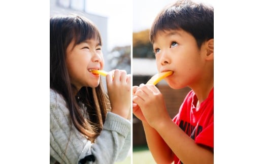 鹿島焼芋 純1.5kg＆焼き干しいも　1.8kg(300g×6袋）セット【冷蔵 ひやし 焼き芋 やきいも 干しいも さつまいも 芋 お菓子 おやつ デザート スイーツ 和菓子 和スイーツ 鹿嶋市 茨城県】（KBK-55-f）