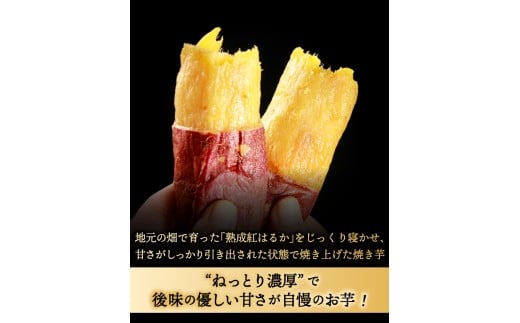 鹿島焼芋 純伯1.5kg＆焼き干しいも　1.2kg(300g×4袋）セット【冷凍 ひやし 焼き芋 やきいも 干しいも さつまいも 芋 お菓子 おやつ デザート スイーツ 和菓子 和スイーツ 鹿嶋市 茨城県】（KBK-56-d）
