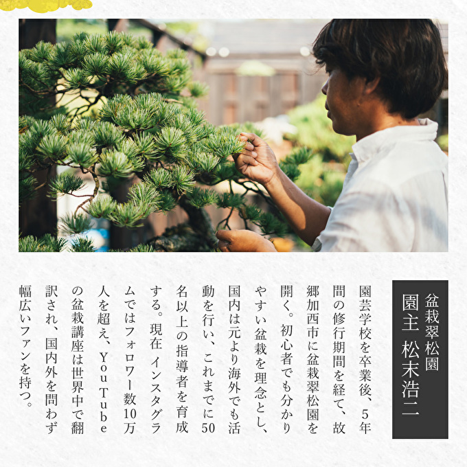 盆栽 翠松園 商品クーポン券 30,000円分 植物 観葉植物 園芸 商品券 兵庫県