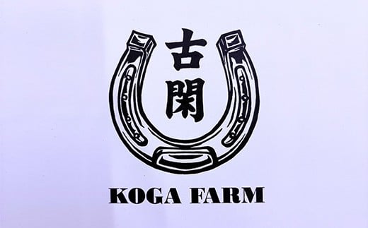 FK7-0220_純国産馬 馬スジ煮込み （味付き/2人前） 肉 馬肉 馬スジ 熊本県 熊本 嘉島
