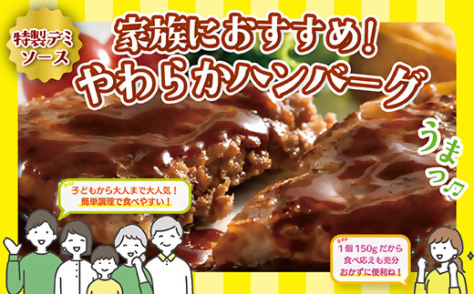 北海道デミハンバーグ1食 200g 9セット 冷凍 北海道 滝川市 牛肉 豚肉 ハンバーグステーキ 生ハンバーグ 真空パック 個包装 お弁当 バーベキュー BBQ 惣菜 簡単 焼くだけ 小分け 北海道産玉ねぎ デミグラスソース ギフト 送料無料