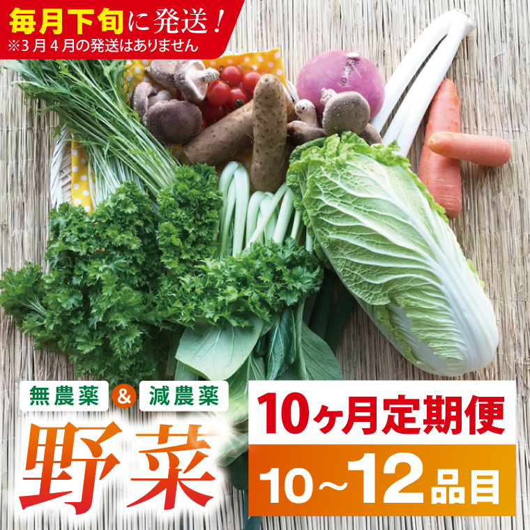 【10ヶ月定期便】★毎月下旬発送★身体が喜ぶ季節の野菜 10～12品目｜野菜 やさい 野菜セット セット 詰め合わせ おまかせ 定期便 野菜定期便 茨城県 行方市(BI-111)