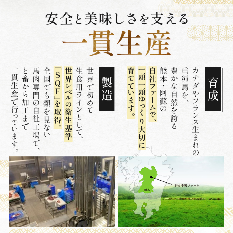 FKK19-976_鮮馬刺しスライス5種バラエティーセット 馬刺し 赤身 肉 馬肉