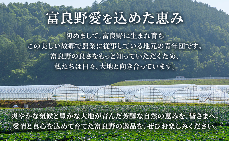 2026年夏発送【先行受付】 ふらのメロン 赤肉 特大玉2玉 計4.5kg以上 富良野メロン 赤肉 めろん 北海道 甘い 大きい 果物 フルーツ