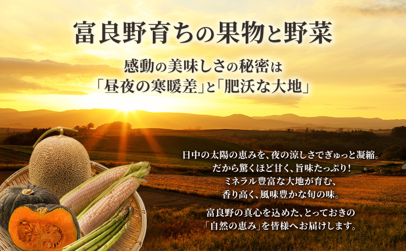 2026年夏発送 【数量・期間限定】 ふらのメロン キングルビー 秀大2玉 計4kg以上 富良野メロン 赤肉 めろん 北海道 甘い 大きい