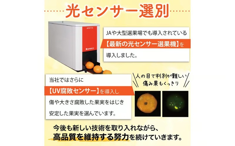 【先行予約】こだわりの青切りみかん 約4kg 農家直送 有機質肥料 100% サイズ混合 ｜ みかん 柑橘 果物 くだもの 果実 フルーツ 和歌山 有田