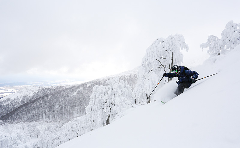 【鰺ヶ沢町ふるさと納税】青森県鰺ヶ沢町への寄附 応援 支援 寄附のみ 500,000円【返礼品なし】