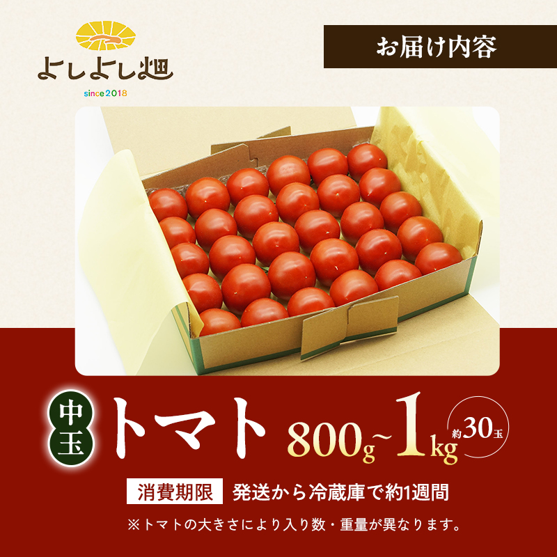 トマト 中玉 800g～1kg よしよし畑のあま～いトマト とまと 季節の野菜 旬の野菜 新鮮 農家直送 夏野菜 野菜