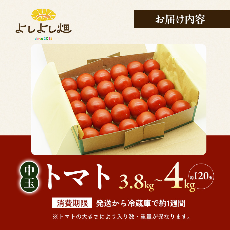 よしよし畑のあま～い トマト ( 中玉トマト ) 3.8kg ～ 4kg 程度 新鮮 産地直送  とまと おいしい おすすめ ギフト お取り寄せ