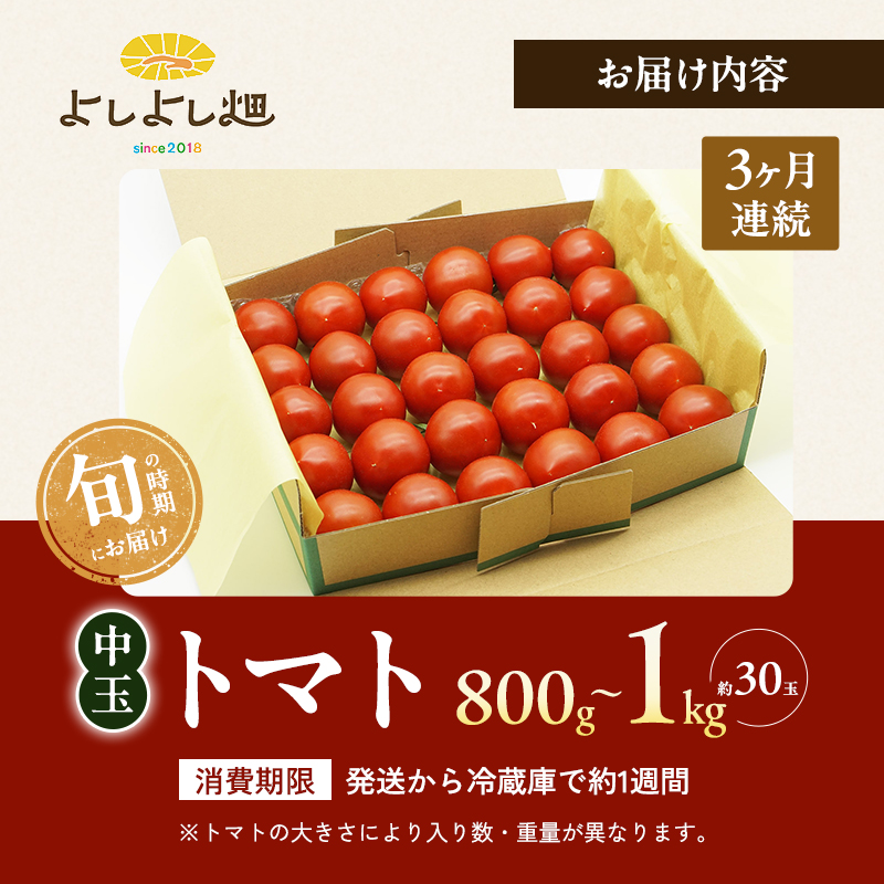【最旬お届け確約】3ヶ月連続  よしよし畑のあま～い トマト ( 中玉トマト ) 800g ～ 1kg 計約3kg 程度 新鮮 産地直送  とまと 頒布会 定期便 おいしい おすすめ ギフト お取り寄せ