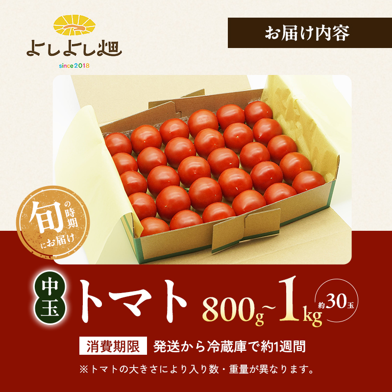 【最旬お届け!!】よしよし畑のあま～い トマト ( 中玉トマト ) 800g ～ 1kg 程度 新鮮 産地直送 冷蔵 とまと おいしい おすすめ ギフト お取り寄せ