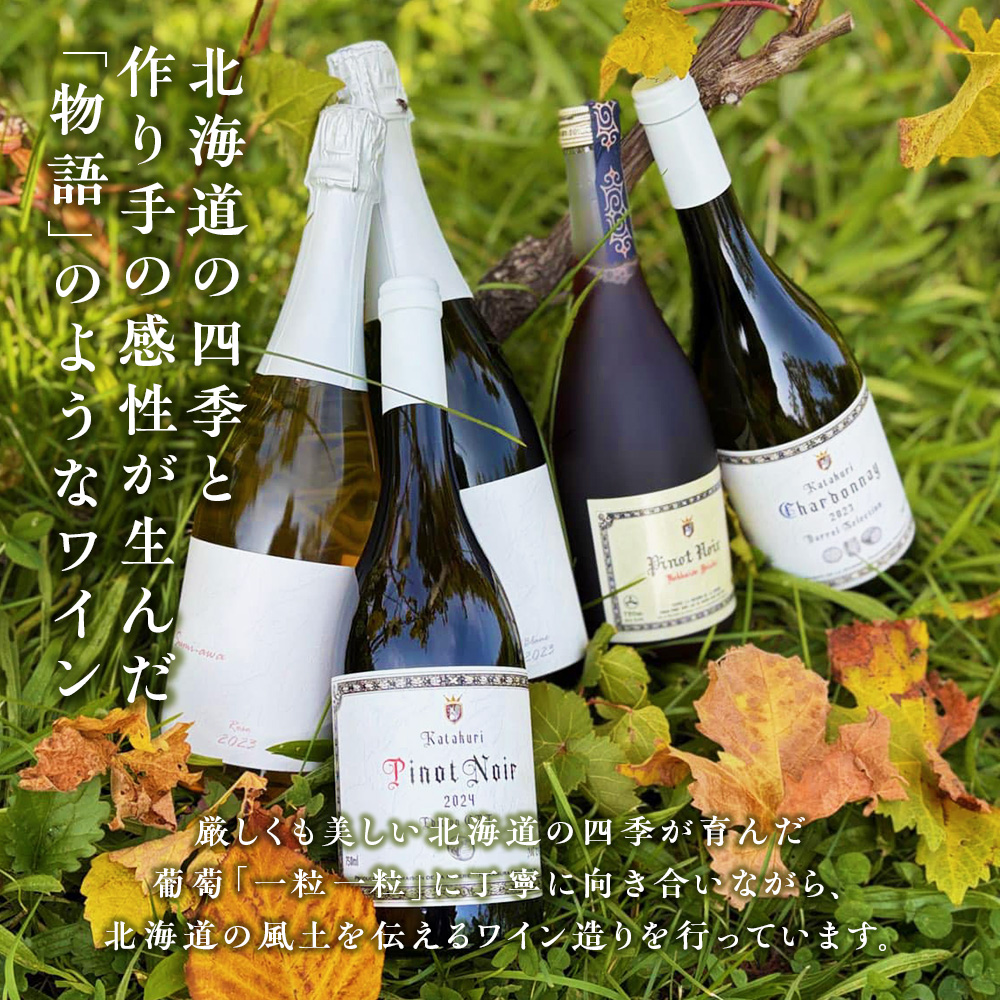 sumiawa ロゼ ヴィンテージ スパークリングワイン2023 ラ・メゾン・ド・ラ・リヴィエール 辛口 ロゼワイン 日本ワイン お酒 酒 洋酒 果実酒 アルコール 北海道 仁木町  [ 株式会社Souplesse ]