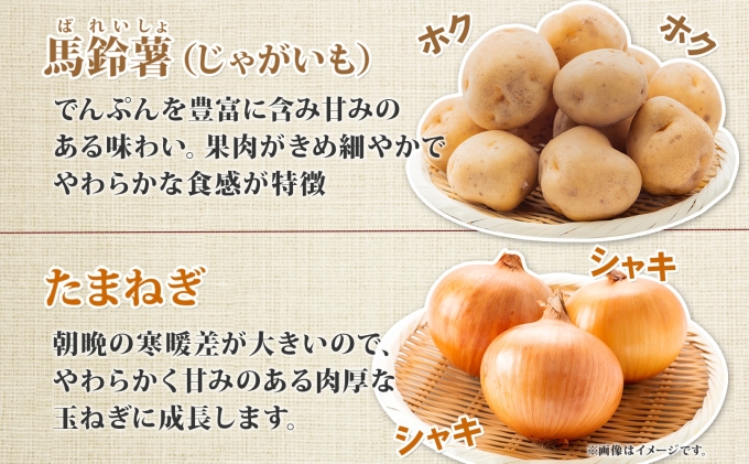 【2026年発送】 オーガニック じゃがたま BOX 約10kg 有機栽培 じゃがいも 玉ねぎ 北海道 倶知安 ニセコグリーンファーム