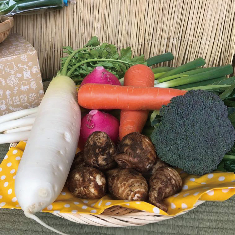 【10ヶ月定期便】身体が喜ぶ季節の野菜ハーフセット(6～7品)｜野菜 やさい 野菜セット セット 詰め合わせ おまかせ 定期便 野菜定期便 茨城県 行方市(BI-43)