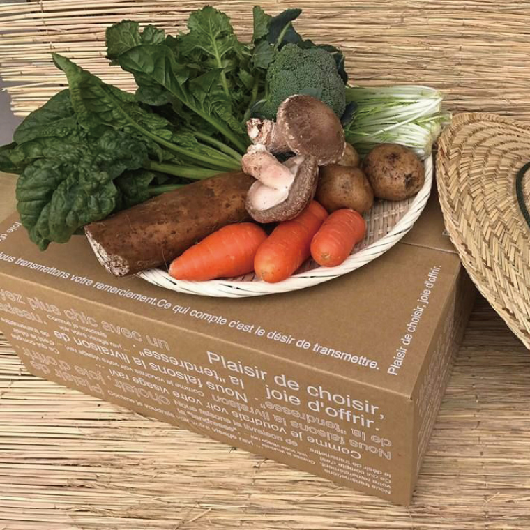 身体が喜ぶ季節の野菜ハーフセット(6～7品)｜野菜 やさい 野菜セット セット 詰め合わせ おまかせ 茨城県 行方市(BI-107)