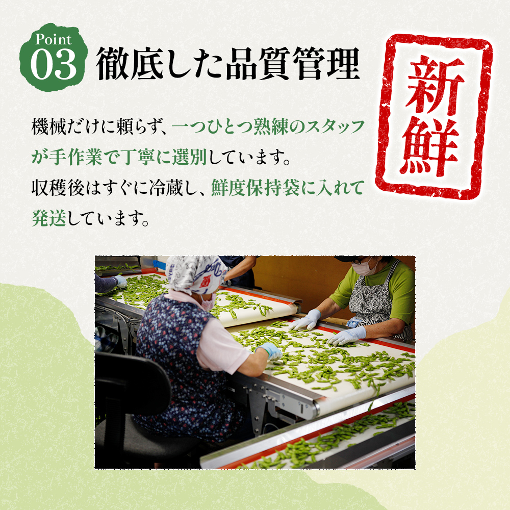 【令和8年産】 つまりちゃまめ 900g（300g×3袋） 茶豆 枝豆 えだまめ 豆 野菜 新潟 十日町市