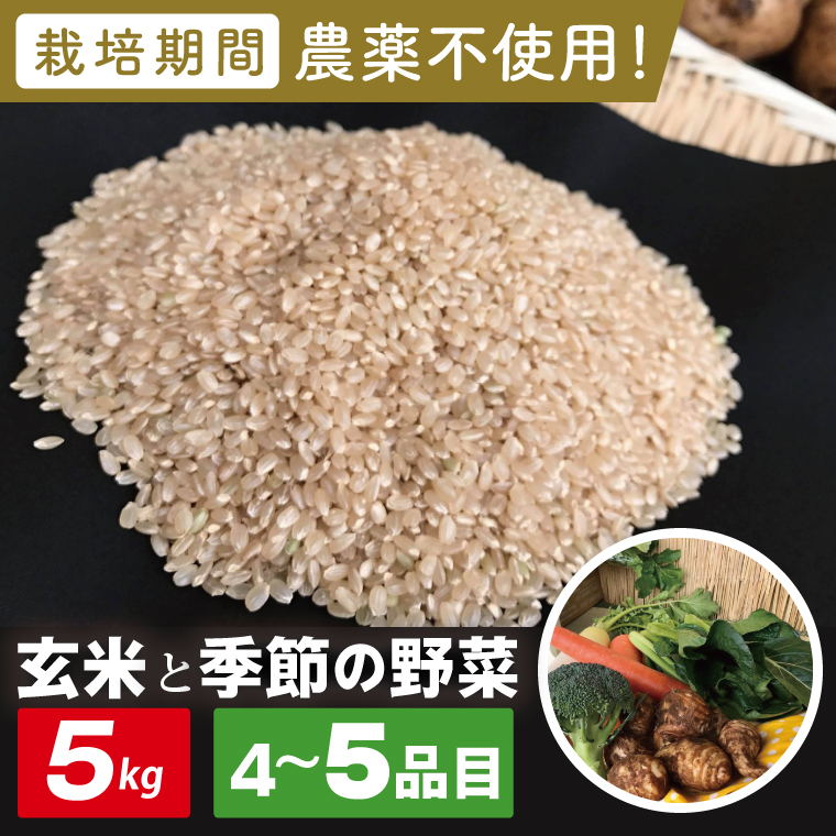 【身体が喜ぶ野菜】玄米5kgと季節の野菜(おまかせ4〜5品)(茨城県共通返礼品／潮来市)｜米 お米 こめ 玄米 野菜 野菜セット 栽培期間農薬不使用 無農薬 減農薬 茨城県共通返礼品 共通返礼品 茨城県 潮来市 行方市(BI-108)