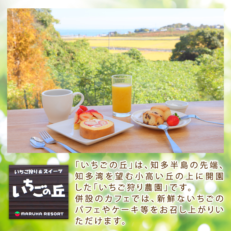 まるは食堂　マルハリゾート　いちごの丘の『 訳あり 』完熟冷凍いちご 3kg