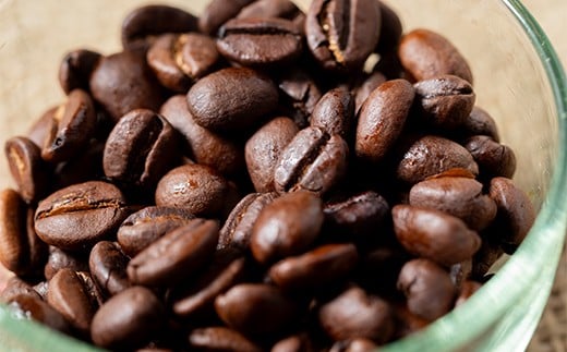 【定期便】雪町コーヒー 豆（100g）3個セット×3回 自家焙煎 低温貯蔵 エチオピア 北海道 沼田町 n-0117