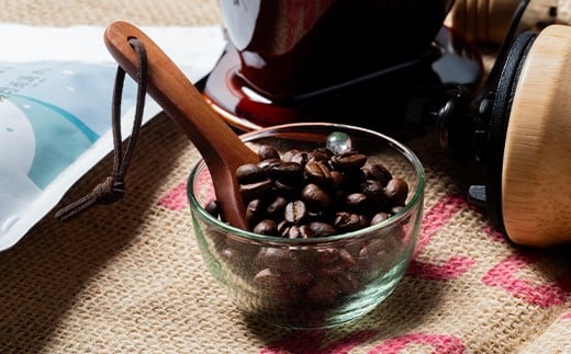 【定期便】雪町コーヒー 豆（100g）5個セット×3回 自家焙煎 低温貯蔵 エチオピア 北海道 沼田町 n-0120