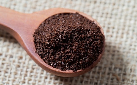 【定期便】雪町コーヒー 粉（100g）5個セット×3回 自家焙煎 低温貯蔵 エチオピア 北海道 沼田町 n-0129