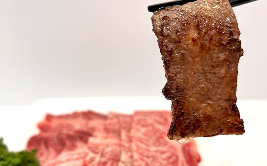 FK7-0233_くまもとあか牛 焼肉用カット 500g 牛肉 冷凍 九州 熊本県 熊本 嘉島