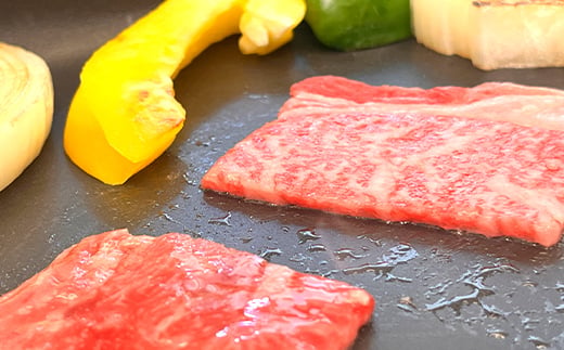 FK7-0233_くまもとあか牛 焼肉用カット 500g 牛肉 冷凍 九州 熊本県 熊本 嘉島