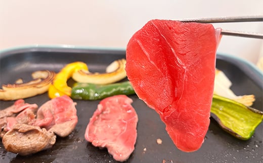 FK7-0238_馬小間スライス1kg (500g×2) 馬肉 冷凍 九州 熊本県 熊本 嘉島