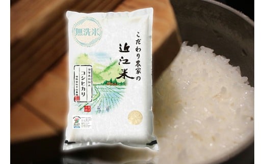 【7年産】近江米 環境こだわり栽培 コシヒカリ 無洗米【5kg×1】【BN14W】 5kg 米 こしひかり 新米 コシヒカリ おこめ 贈り物 人気米 ご飯 白米 コメ 贈答 滋賀県 近江八幡市 無洗米