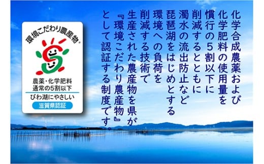 【7年産】近江米 環境こだわり栽培 コシヒカリ 無洗米【5kg×1】【BN14W】 5kg 米 こしひかり 新米 コシヒカリ おこめ 贈り物 人気米 ご飯 白米 コメ 贈答 滋賀県 近江八幡市 無洗米