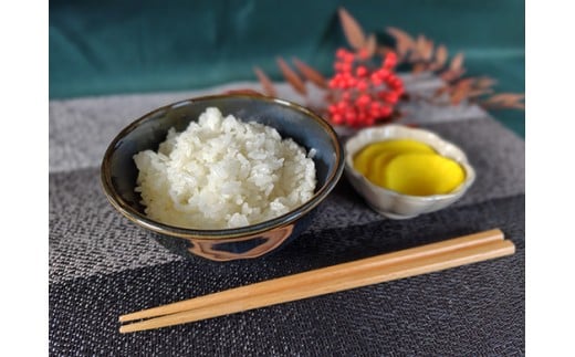 【7年産】近江米 環境こだわり栽培 ミルキークイーン 無洗米【5kg×1】【BN16W】 米 5kg 10kg 白米 みるきーくいーん 国産 農家直送 環境こだわり お米 こめ おこめ 新米 先行予約 農家直送 産地直送 滋賀県 近江八幡市