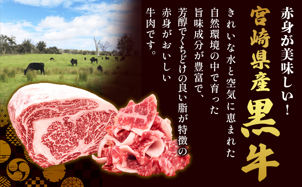 宮崎県産 黒牛 切り落とし 600g（300g×2パック） 赤身 牛肉 切り落とし 肉 お肉 牛 国産牛 小分け 真空パック コスパ 冷凍 贈答 ギフト 人気 国産 えびの市 送料無料