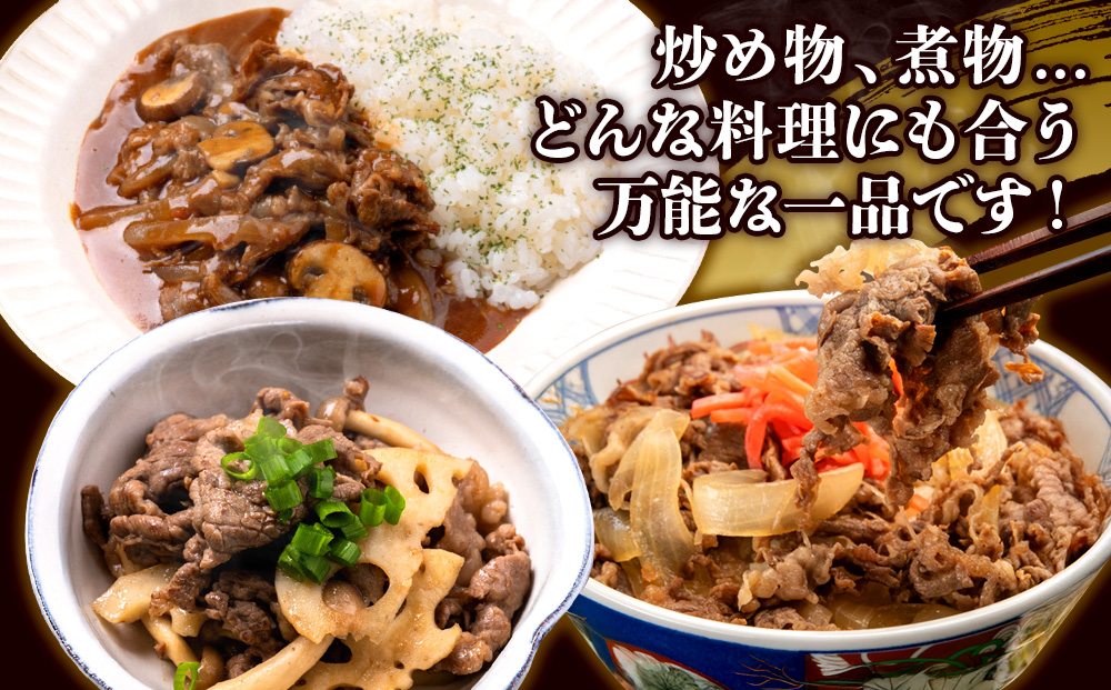 宮崎県産 黒牛 切り落とし 900g（300g×3パック） 赤身 牛肉 切り落とし 肉 お肉 牛 国産牛 小分け 真空パック コスパ 冷凍 贈答 ギフト 人気 国産 えびの市 送料無料