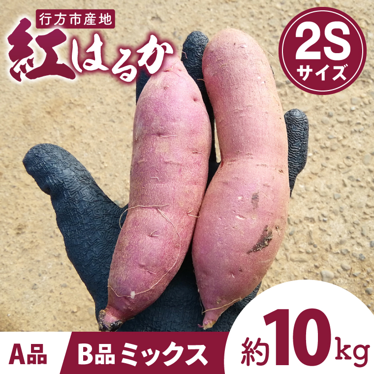 茨城県行方市特産紅はるか 2Sサイズ(A品・B品ミックス) 約10kg｜さつまいも 紅はるか(FU-5)