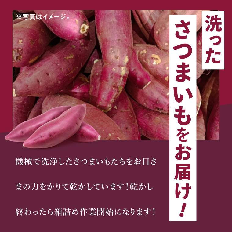 茨城県行方市特産紅はるか 2Sサイズ(A品・B品ミックス) 約10kg｜さつまいも 紅はるか(FU-5)