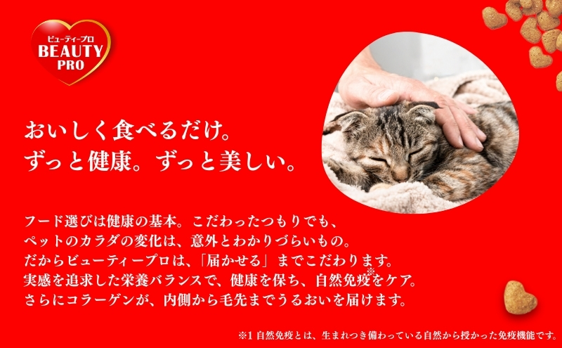 日本ペットフード ビューティープロ キャット 避妊・去勢後用 560g（80g×7袋入）×10袋（ケース） キャットフード