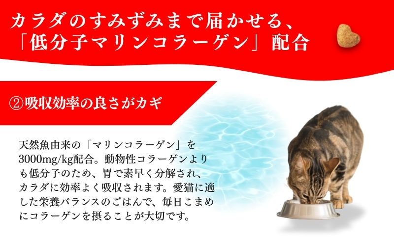 日本ペットフード ビューティープロ キャット 下部尿路の健康維持 1歳から 1.4kg（280g×5袋入）×8袋（ケース） キャットフード