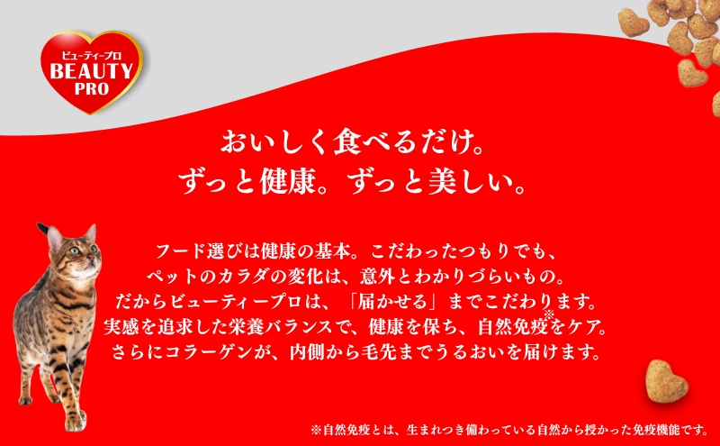 日本ペットフード ビューティープロ キャット 下部尿路の健康維持 1歳から 1.4kg（280g×5袋入）×8袋（ケース） キャットフード