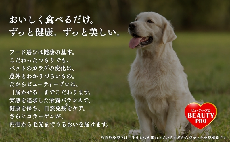 ビューティープロ ドッグ 食物アレルゲンに配慮 10歳以上 2.3kg ｘ4(ケース単位) ドッグフード