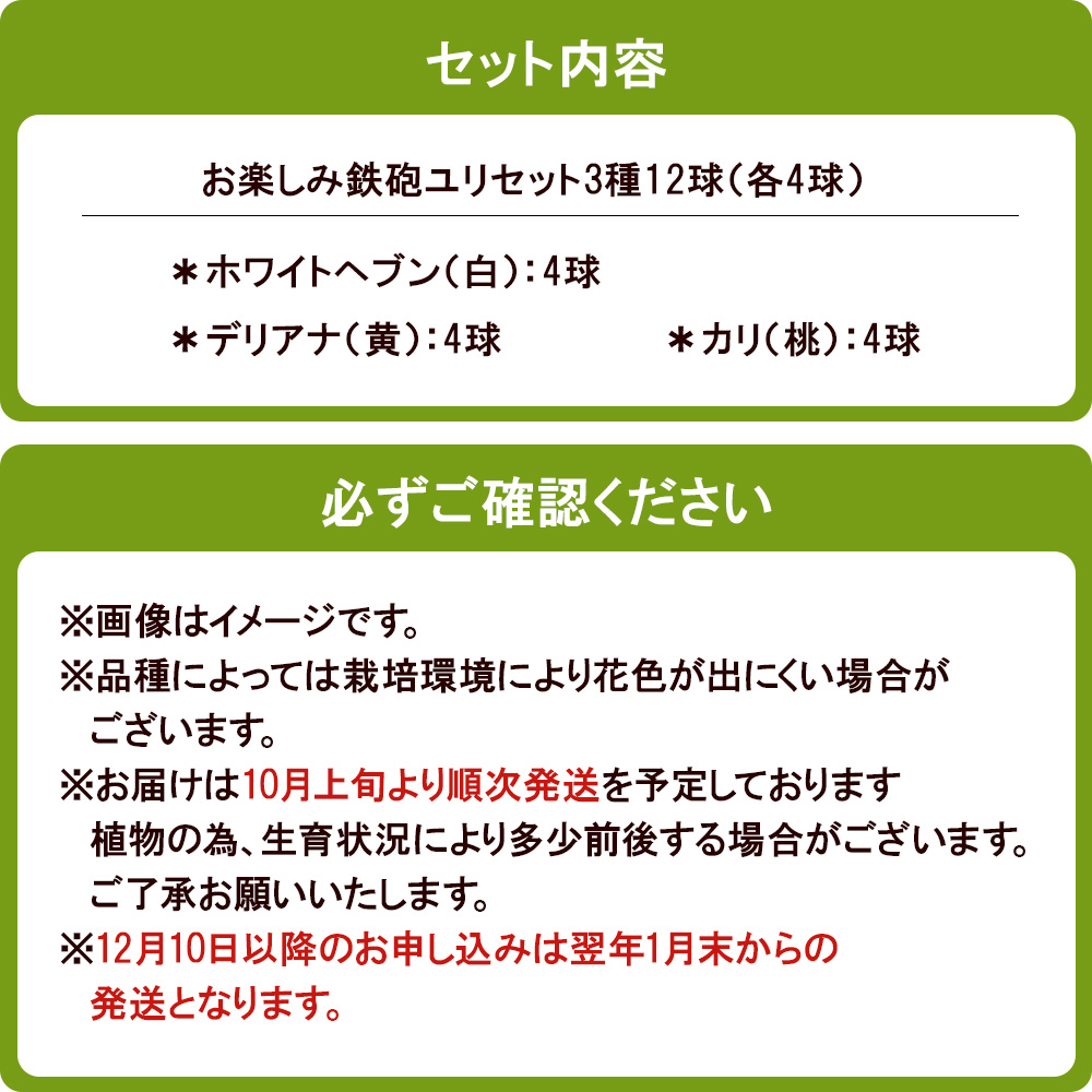 【ふるさと納税】ユリ球根　切花向き鉄砲ユリセット3種12球 花 フラワー 園芸 ガーデニング 植物 高品質 送料無料