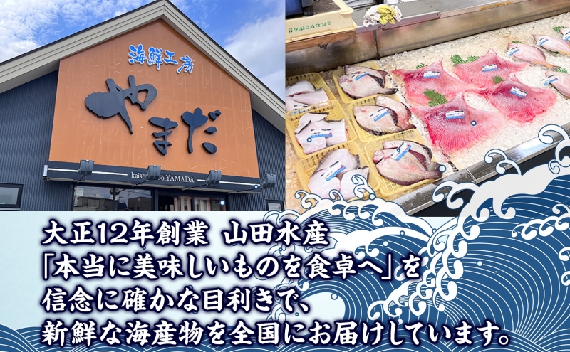 山田水産 アトランティックサーモン ロシア産 紅鮭 ルイベ サーモン 各250g 計500g 小分け 鮭 海鮮 生食用 刺身用 サケ さけ シャケ しゃけ 魚 魚介類 刺身 寿司 丼 新鮮 送料無料 山田水産 北海道 滝川市