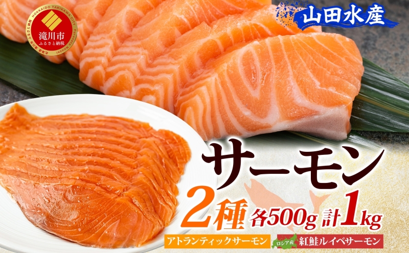 山田水産 アトランティックサーモン ロシア産 紅鮭 ルイベ サーモン 各500g 計1kg 鮭 海鮮 生食用 刺身用 サケ さけ シャケ しゃけ 魚 魚介類 刺身 寿司 丼 新鮮 送料無料 山田水産 北海道 滝川市
