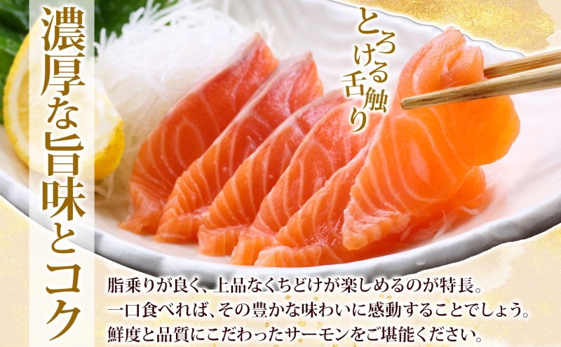 山田水産 アトランティックサーモン ロシア産 紅鮭 ルイベ サーモン 各500g 計1kg 鮭 海鮮 生食用 刺身用 サケ さけ シャケ しゃけ 魚 魚介類 刺身 寿司 丼 新鮮 送料無料 山田水産 北海道 滝川市