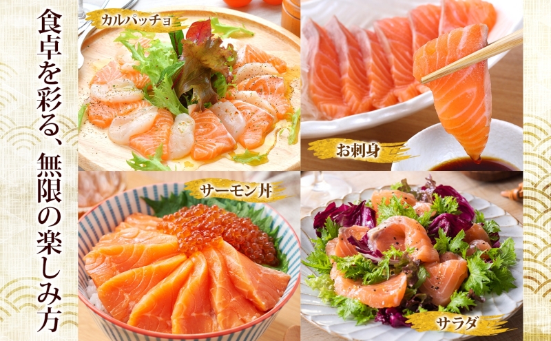 山田水産 アトランティックサーモン 500g 鮭 海鮮 サーモン 生食用 刺身用 サケ さけ シャケ しゃけ 魚 魚介類 刺身 寿司 海鮮丼 丼 新鮮 おかず おつまみ 海の幸 送料無料 山田水産 北海道 滝川市