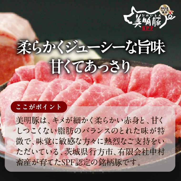 【2026年2月以降より順次発送】美明豚スープ餃子 1袋(博多豚骨スープ)｜餃子 ぎょうざ ギョウザ スープ餃子 美明豚 茨城県 行方市(HJ-8)