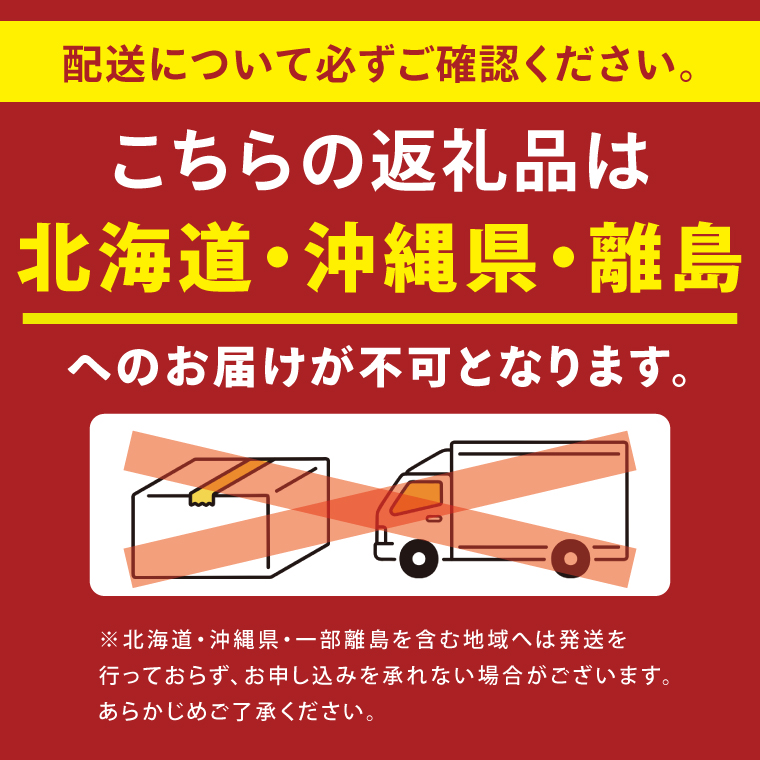 電動昇降デスクJDEB-100 カラー：天板4色(WH/CN/WM/WW)×脚2色(ブラック/ホワイト)｜机 デスク 電動昇降 オフィス テレワーク 小島工芸 茨城県 取手市（BR006）